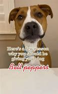 Image result for Frozen Bell Peppers for Dogs