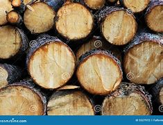 Image result for Lumber Pile