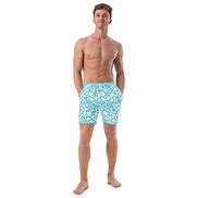 Image result for Hawaiian Swim Trunks