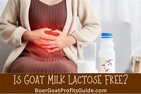 Image result for Goat Milk Lactose