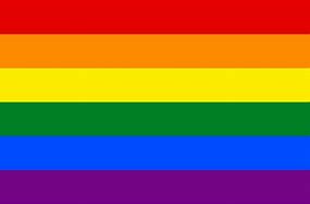 Image result for 13 LGBTQ Flags