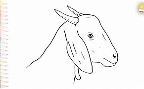 Image result for Cartoon Goat Head Drawing