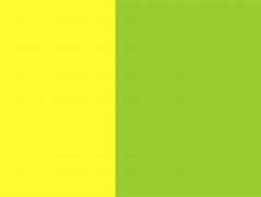 Image result for Bright Yellow Green Shrubs