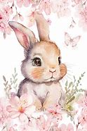 Image result for Lapin Kawaii