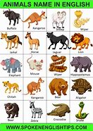 Image result for Every Kind of Animal