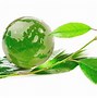 Image result for Gambar Kertas Go Green