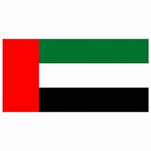 Image result for Arabic Flag