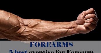 Image result for Big Forearm Exercises