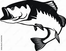 Image result for Fish Logo SVG