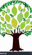 Image result for Lime Tree Clip Art