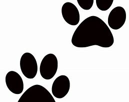 Image result for Gold Paw Print No Background