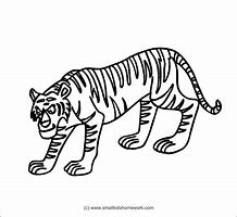 Image result for Outline Tiger Drawings Sketches