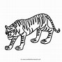 Image result for Tiger Sketch Outline