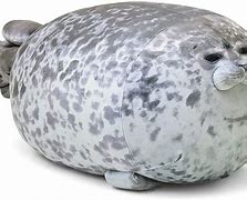 Image result for Fat Seal