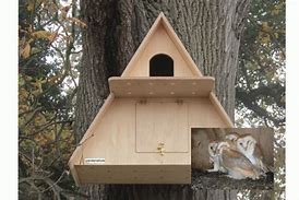 Image result for Barn Owl Nest Box Patterns