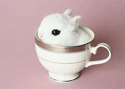 Image result for Baby Bunnies in Cups