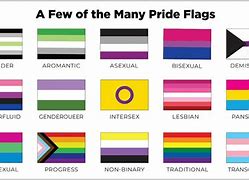 Image result for Rainbow Flag