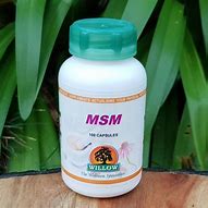 Image result for Organic MSM Capsules