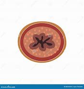 Image result for Ureter Graphics