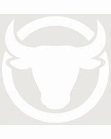 Image result for Taurus Stencil