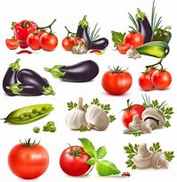 Image result for Vegetable Vutter