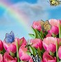 Image result for Pink Background Aesthetic Cartoon