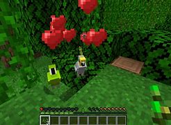 Image result for Baby Parrot Minecraft