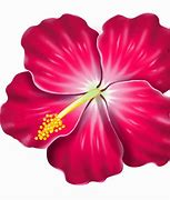 Image result for Purple Hibiscus Flower Clip Art