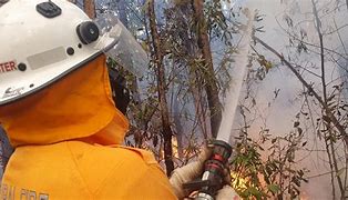 Image result for RFS QLD Fire Map