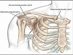 Image result for Unilateral Scapulothoracic