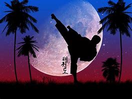 Image result for Taekwondo Wallpaper