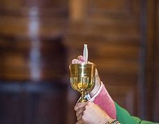 Image result for Host Catholic Church