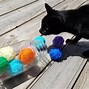 Image result for DIY Cat Toys Simple