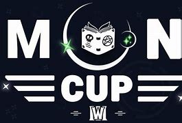 Image result for Moon Cup Wrap