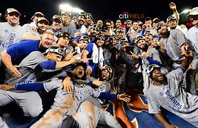 Image result for What Team Won the World Series