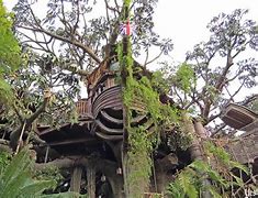 Image result for Disney Tarzan Treehouse