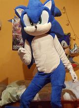 Image result for Classic Sonic Shadow Costume