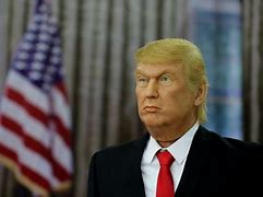 Image result for Wax Mannequin