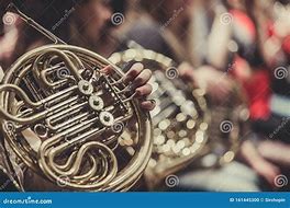 Image result for French Horn Orchestra