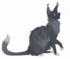 Image result for Black Opossum OC