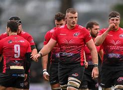 Image result for William Britton Rugby Player