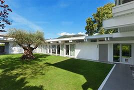 Image result for Olive Tree Modern Garden