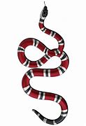 Image result for Gucci Snake PNG