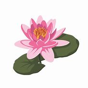 Image result for Lotus Clip Art