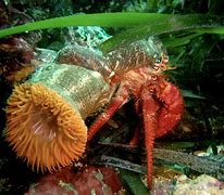 Image result for Rhode Island Aquarium