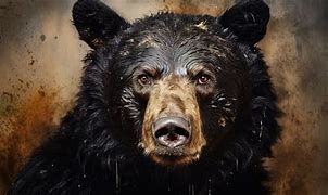 Image result for Black Bear Head White Background