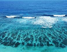 Image result for Turquoise Sea