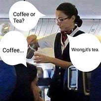 Image result for Cat Cup of Tea Meme