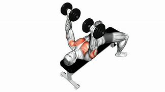 Image result for Lying Dumbbell Press