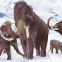 Image result for Ice Age Glaciers